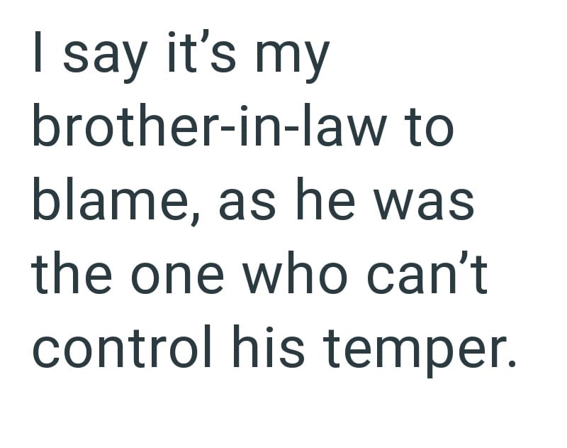 I say it's my brother-in-law to blame, as he was the one who can't control his temper.