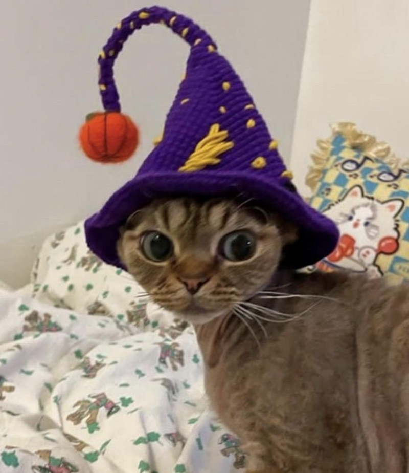 Cheezburger Image 10618601728