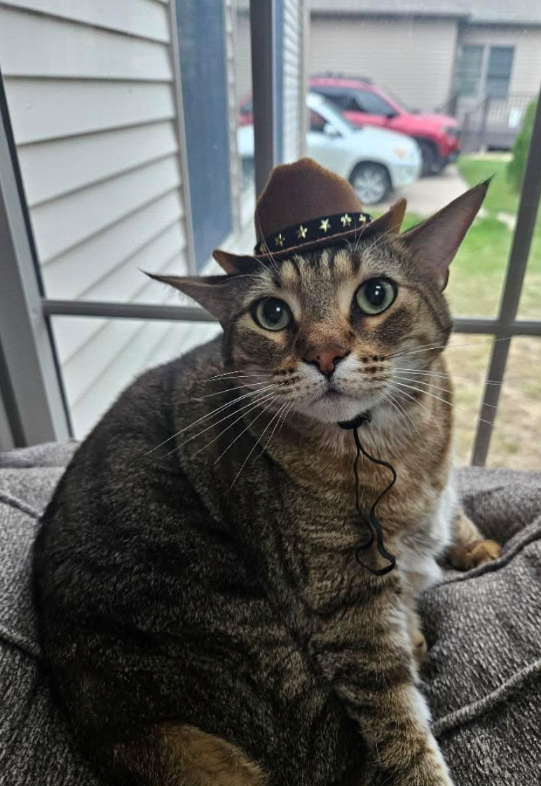 Cheezburger Image 10618605312