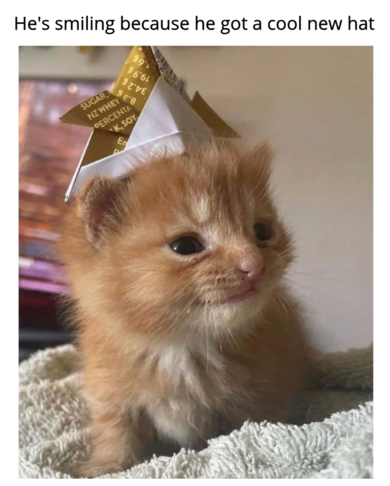 He's smiling because he got a cool new hat 3661 978 SUGAR, NZ WHEY PERCENTA K, SOY En