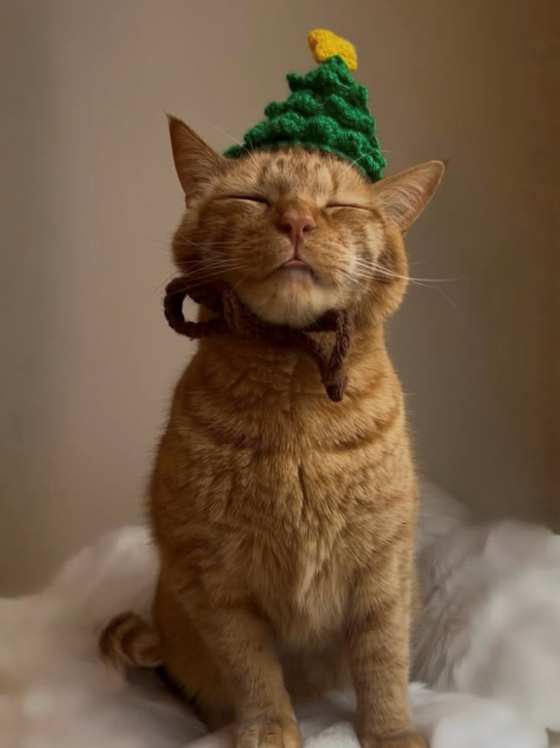 Cheezburger Image 10618606080