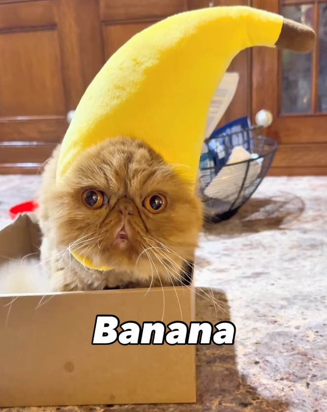 Banana