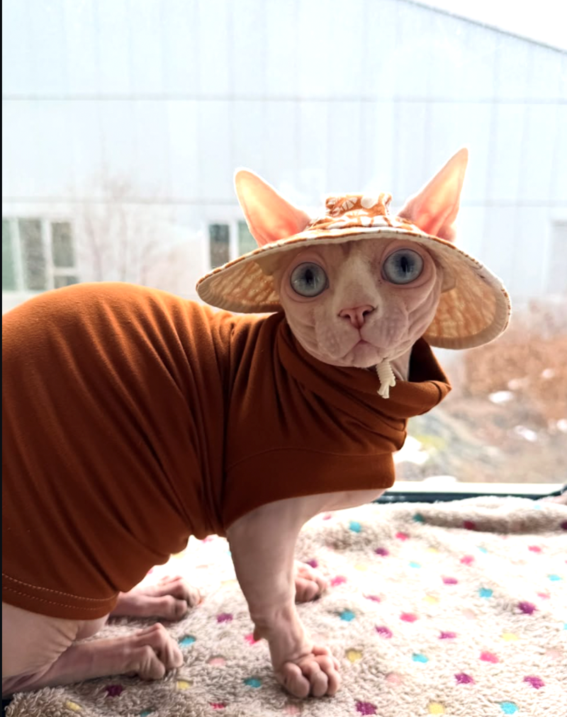 Cheezburger Image 10618607872