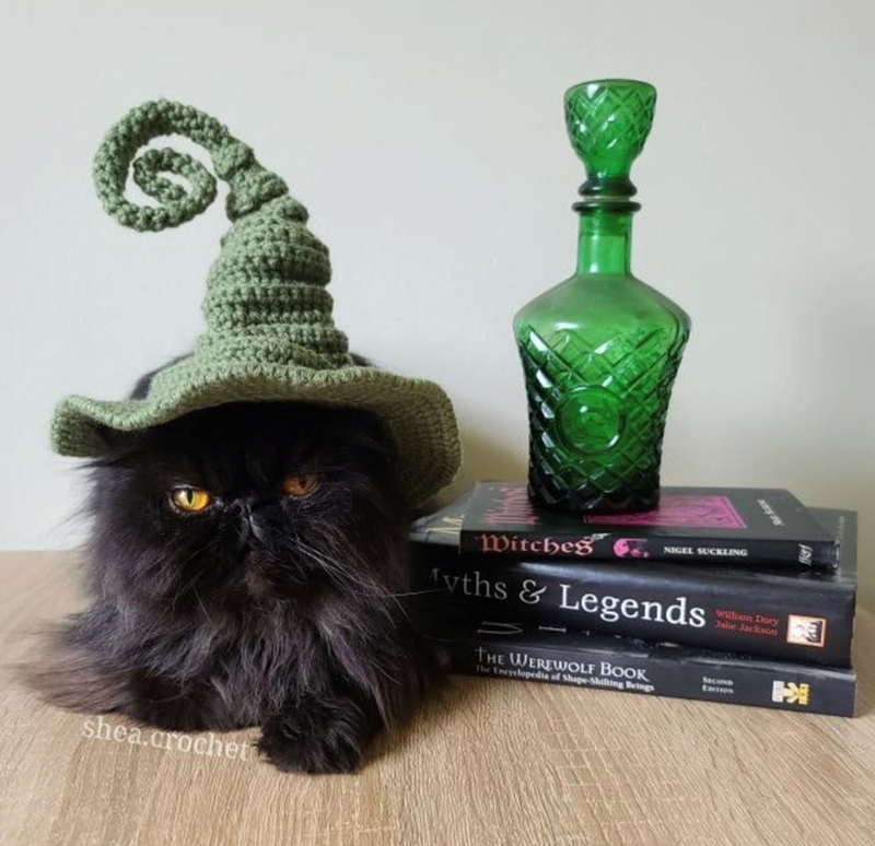 Cheezburger Image 10618608896