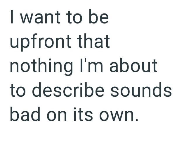 I want to be upfront that nothing I'm about to describe sounds bad on its own.
