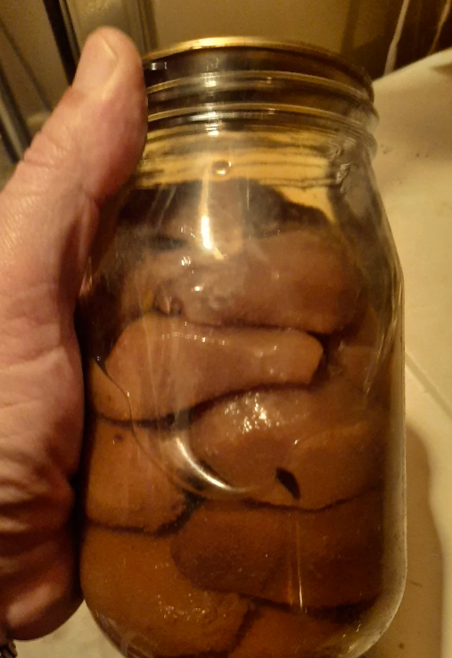 Cheezburger Image 10618625024