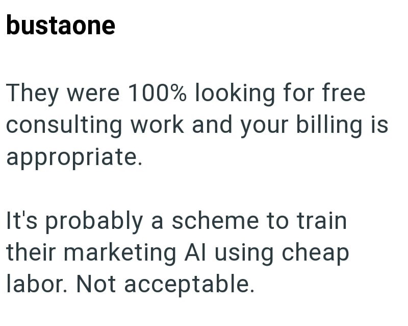 bustaone They were 100% looking for free consulting work and your billing is appropriate. It's probably a scheme to train their marketing Al using cheap labor. Not acceptable.
