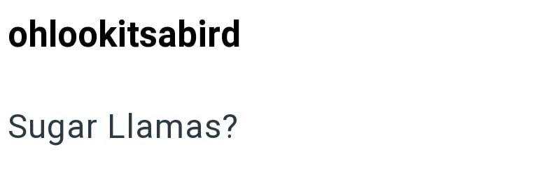 ohlookitsabird Sugar Llamas?