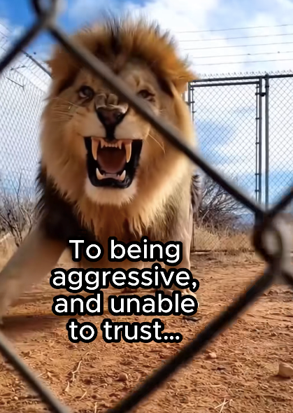 To being aggressive, and unable to trust...