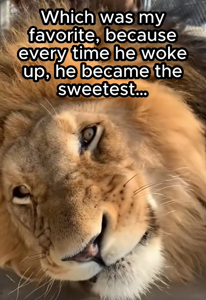 Which was my favorite, because every time he woke up, he became the sweetest...