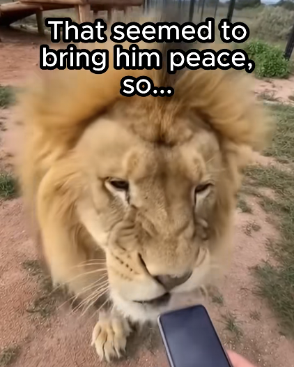 That seemed to bring him peace, So...