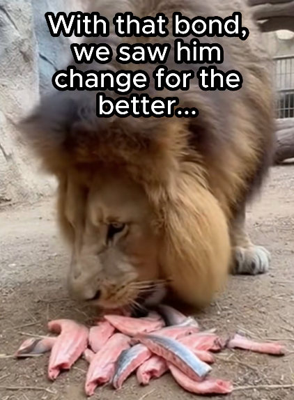 With that bond, we saw him change for the better...