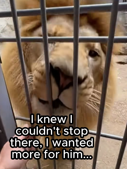 I knew I Couldn't stop there, I wanted more for him...