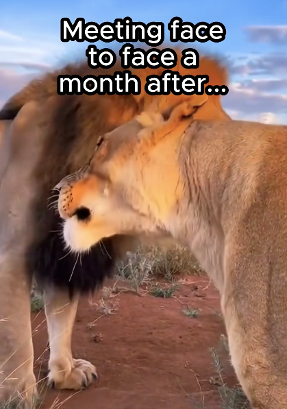 Meeting face to face a month after...