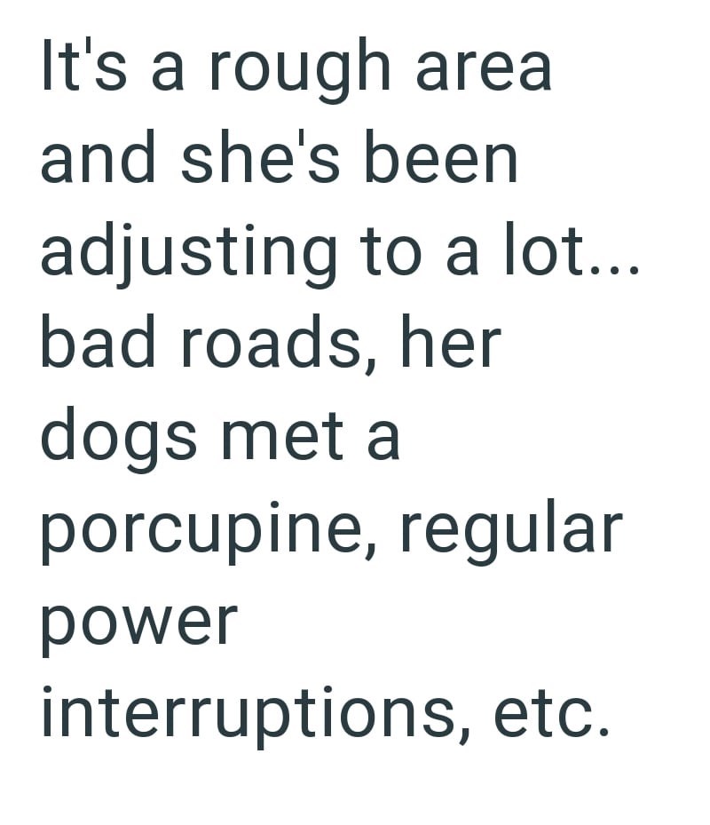 It's a rough area and she's been adjusting to a lot... bad roads, her dogs met a porcupine, regular power interruptions, etc.