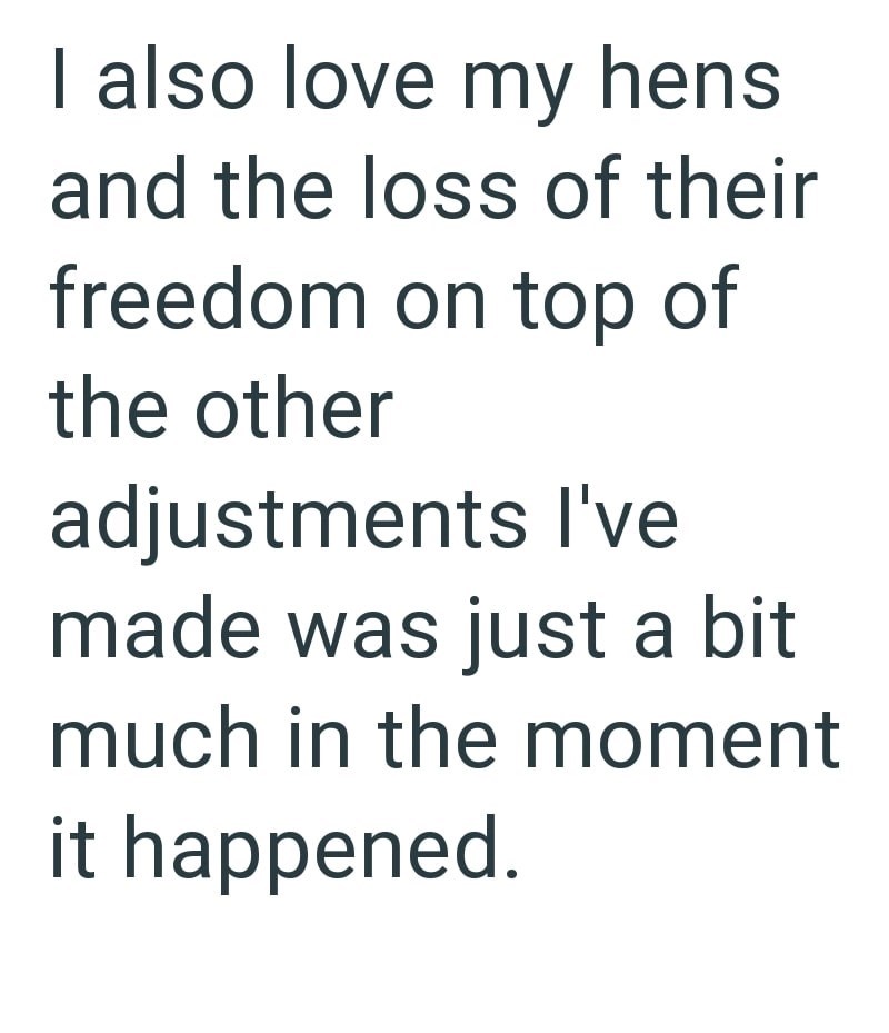 I also love my hens and the loss of their freedom on top of the other adjustments I've made was just a bit much in the moment it happened.