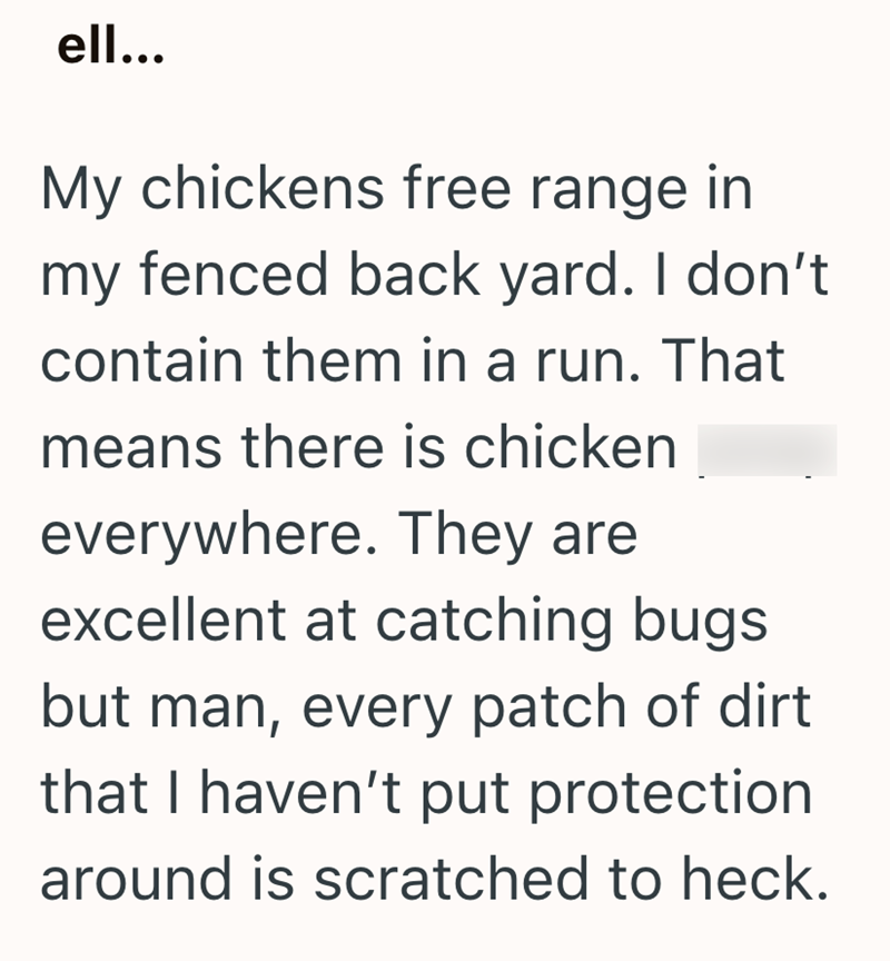 ell... My chickens free range in my fenced back yard. I don't contain them in a run. That means there is chicken everywhere. They are excellent at catching bugs. but man, every patch of dirt that I haven't put protection around is scratched to heck.