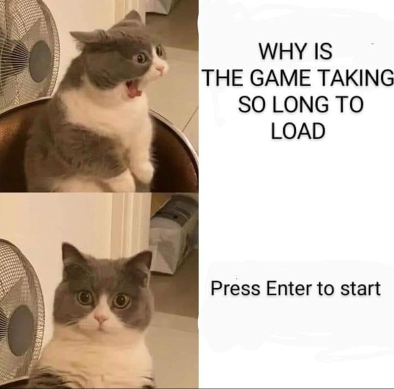 WHY IS THE GAME TAKING SO LONG TO LOAD Press Enter to start