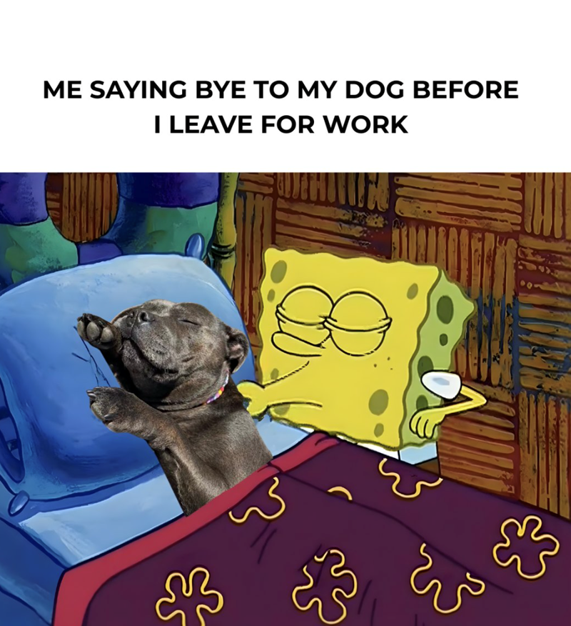 ME SAYING BYE TO MY DOG BEFORE I LEAVE FOR WORK