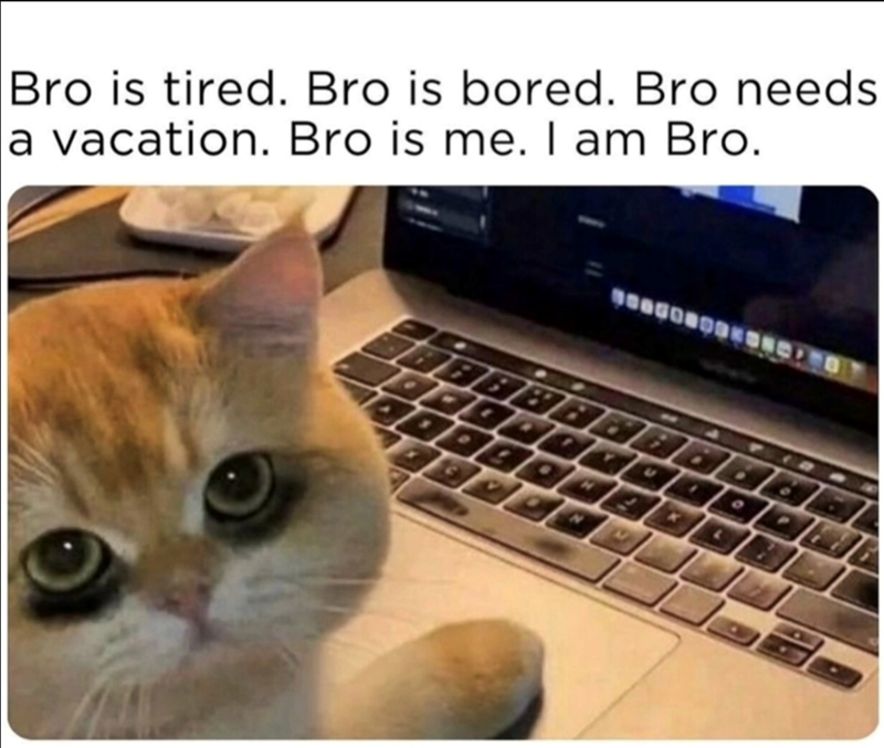 Bro is tired. Bro is bored. Bro needs a vacation. Bro is me. I am Bro. 4 4 7 . 9 4 4 T U 3 2 H 4 4 N