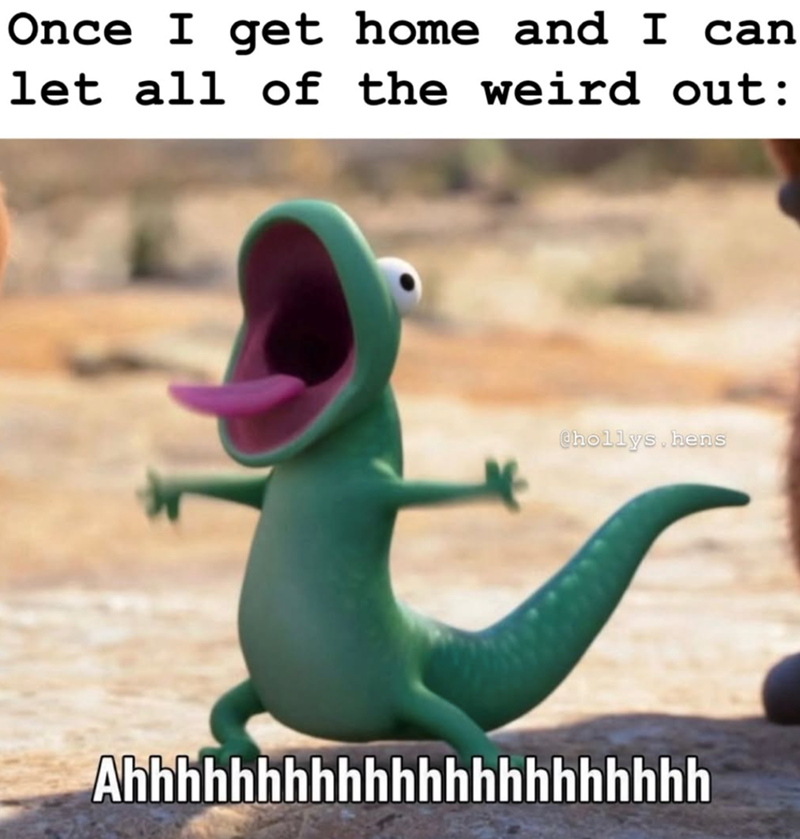 Once I get home and I can let all of the weird out: Chollys, hens Ahhhhhhhhhhhhhhhhhhhhhh