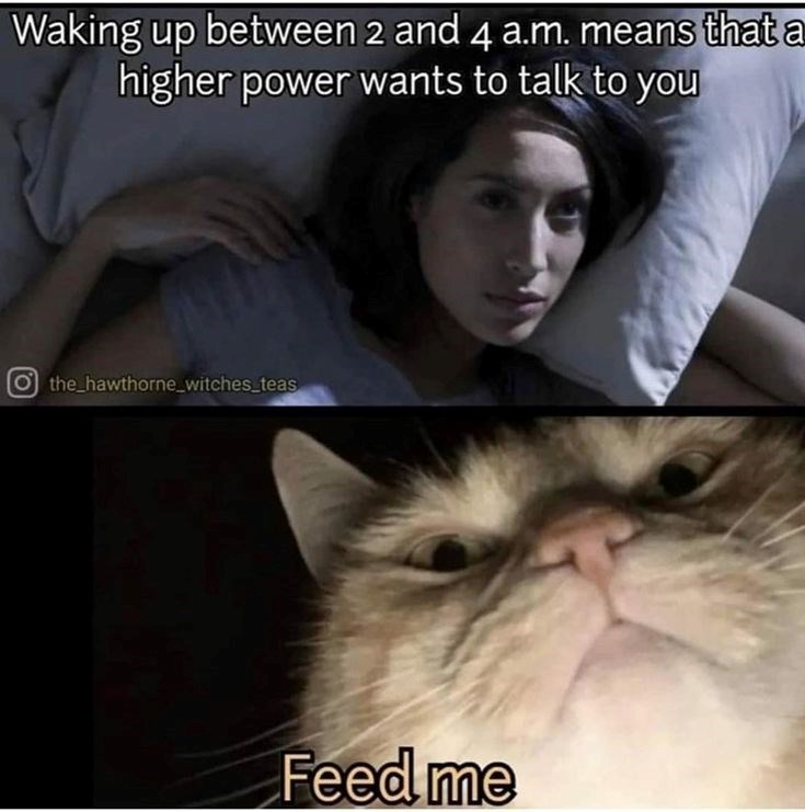Waking up between 2 and 4 a.m. means that a higher power wants to talk to you Othe_hawthorne_witches_teas Feed me