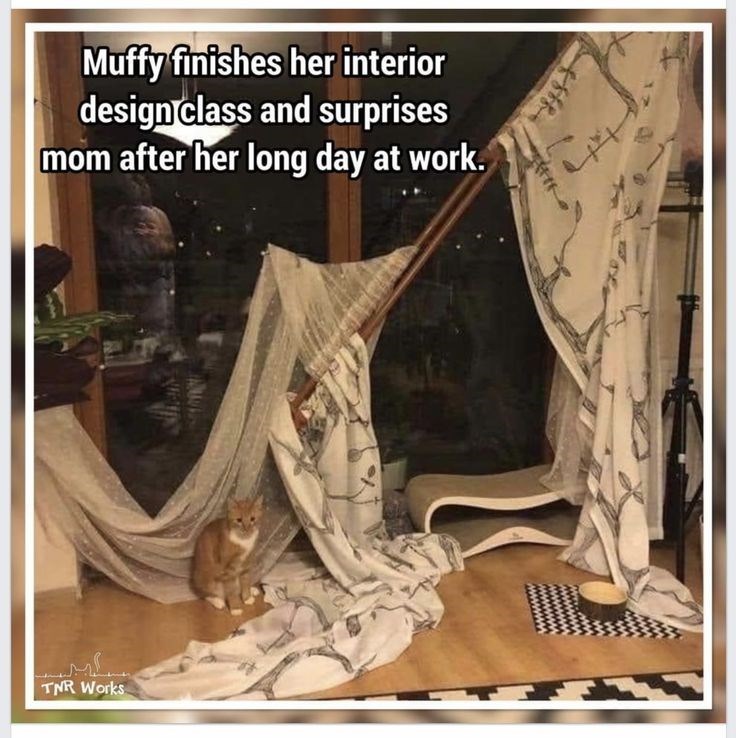 Muffy finishes her interior design class and surprises mom after her long day at work. ابر TNR Works