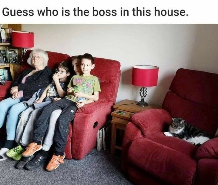 Guess who is the boss in this house.