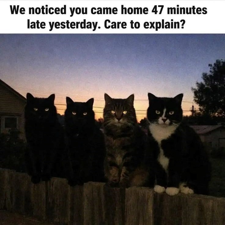 We noticed you came home 47 minutes late yesterday. Care to explain?