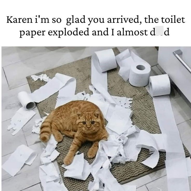 Karen i'm so glad you arrived, the toilet paper exploded and I almost dd