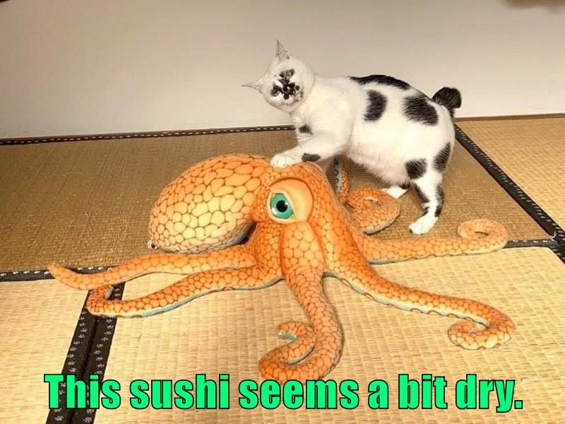 Cheezburger Image 10618729216