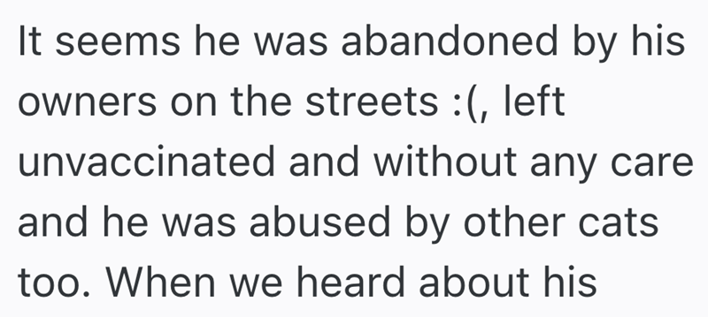It seems he was abandoned by his owners on the streets :(, left unvaccinated and without any care and he was abused by other cats too. When we heard about his