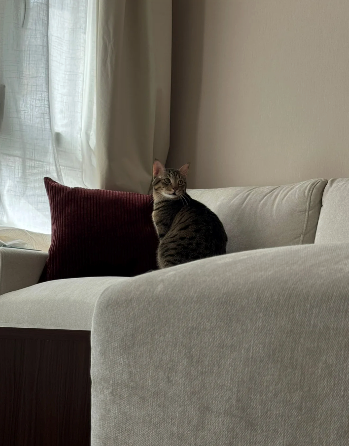 Cheezburger Image 10618731008