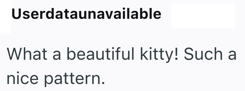 Userdataunavailable What a beautiful kitty! Such a nice pattern.
