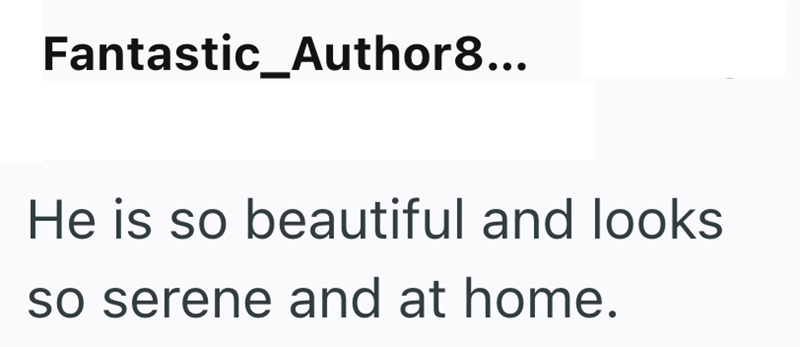 Fantastic_Author8... He is so beautiful and looks so serene and at home.