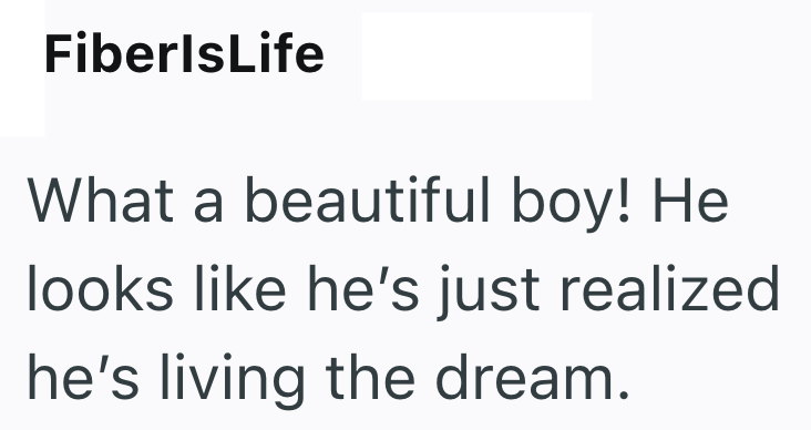 FiberlsLife What a beautiful boy! He looks like he's just realized he's living the dream.