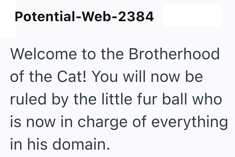 Potential-Web-2384 Welcome to the Brotherhood of the Cat! You will now be ruled by the little fur ball who is now in charge of everything in his domain.