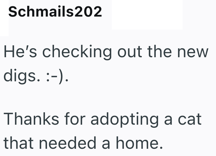 Schmails202 He's checking out the new digs. :-). Thanks for adopting a cat that needed a home.