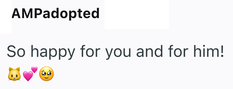 AMPadopted So happy for you and for him! 60