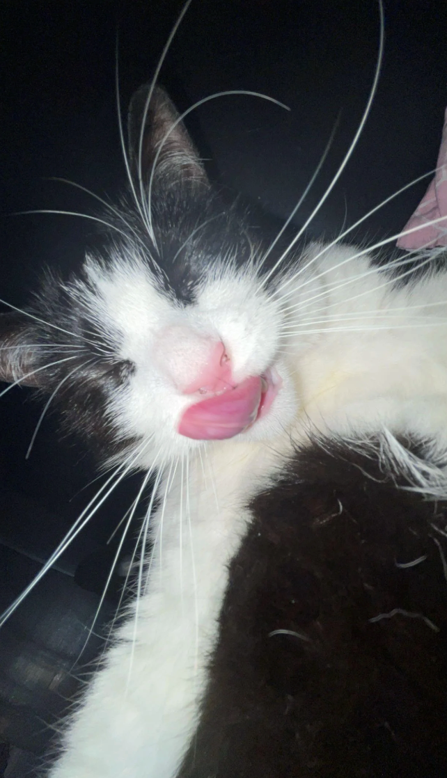 Cheezburger Image 10618737920