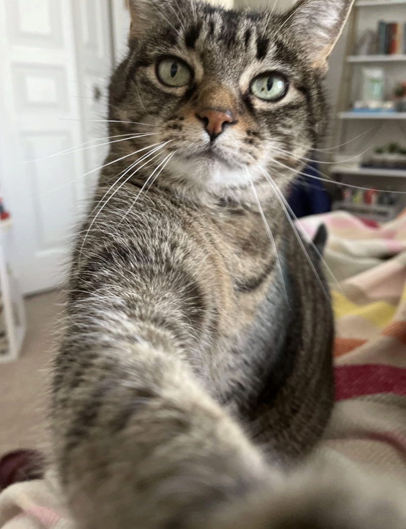 Cheezburger Image 10618742528