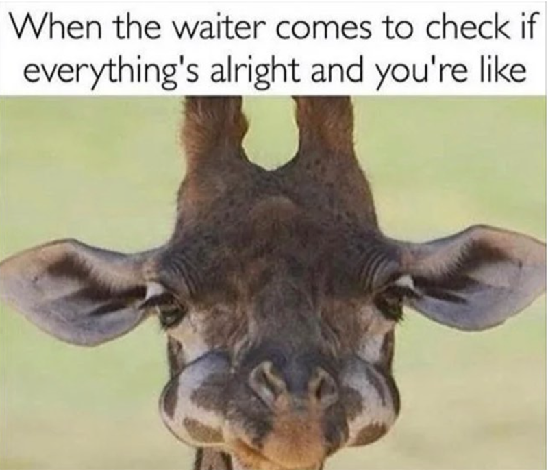 When the waiter comes to check if everything's alright and you're like