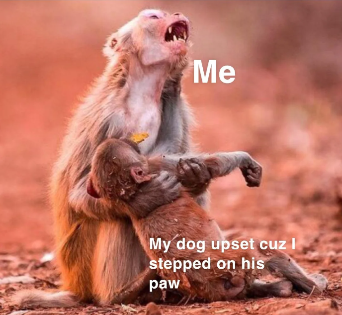 Me My dog upset cuz I stepped on his paw