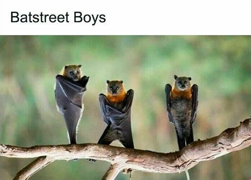Batstreet Boys