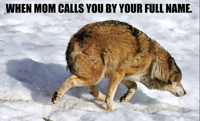 WHEN MOM CALLS YOU BY YOUR FULL NAME.
