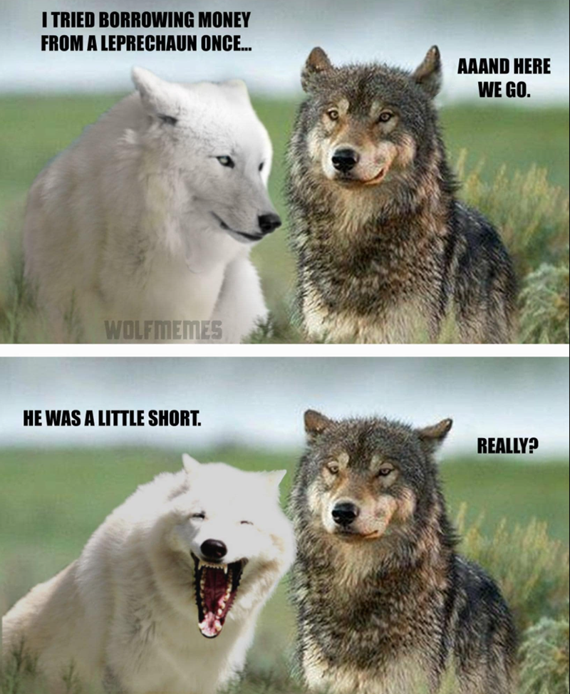 I TRIED BORROWING MONEY FROM A LEPRECHAUN ONCE... AAAND HERE WE GO. WOLFMEMES HE WAS A LITTLE SHORT. REALLY?
