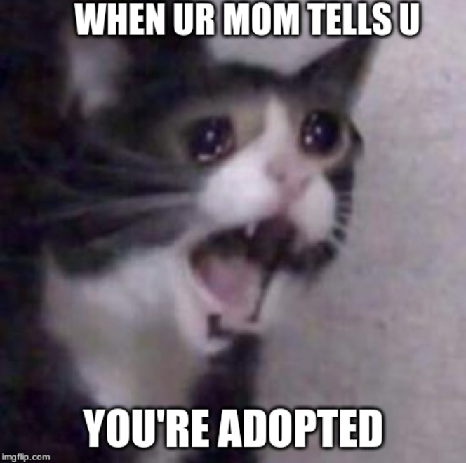 WHEN UR MOM TELLS U YOU'RE ADOPTED imgflip.com