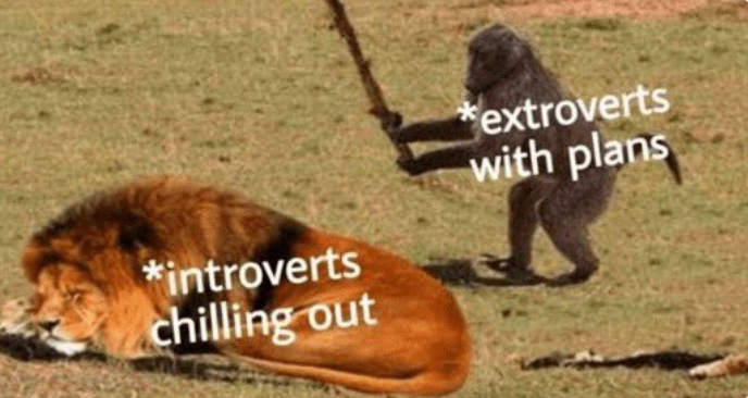*introverts chilling out *extroverts with plans