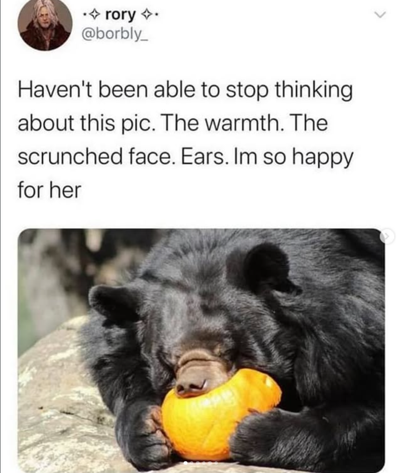 •◇ rory ✩. @borbly_ Haven't been able to stop thinking about this pic. The warmth. The scrunched face. Ears. Im so happy for her