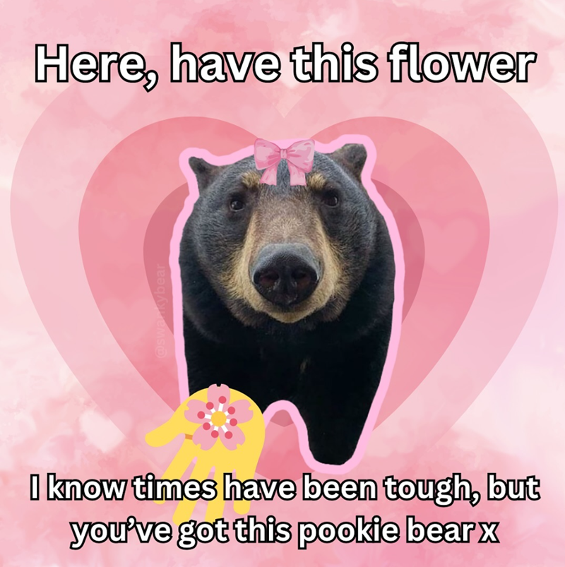 Here, have this flower I know times have been tough, but you've got this pookie bearx